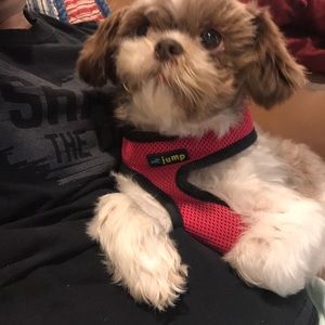 Meet your Posher, Andrew